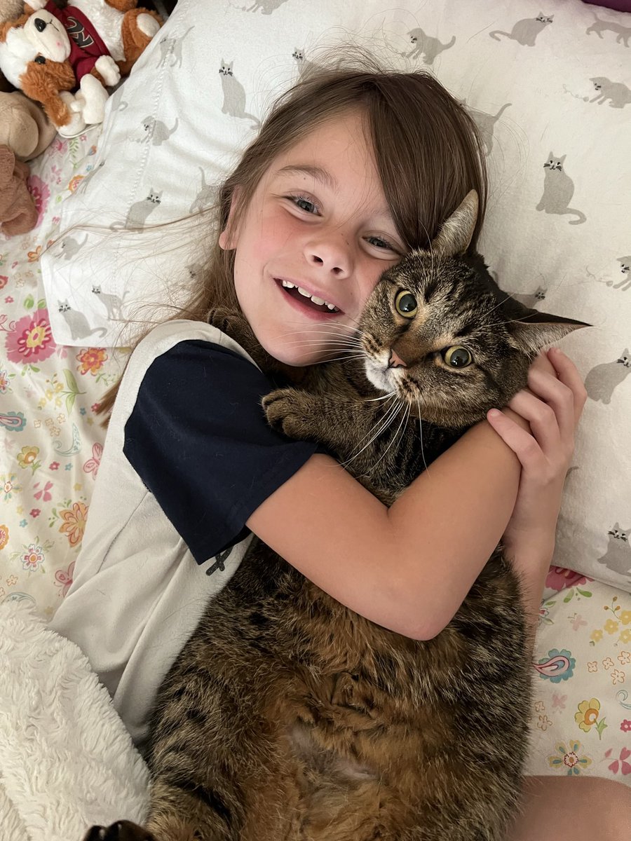 SFGiantsChica's tweet photo. Happy #Caturday from #KateRenee and #RosieGold, who looks annoyed af 😂 https://t.co/uzJRMhhTnK