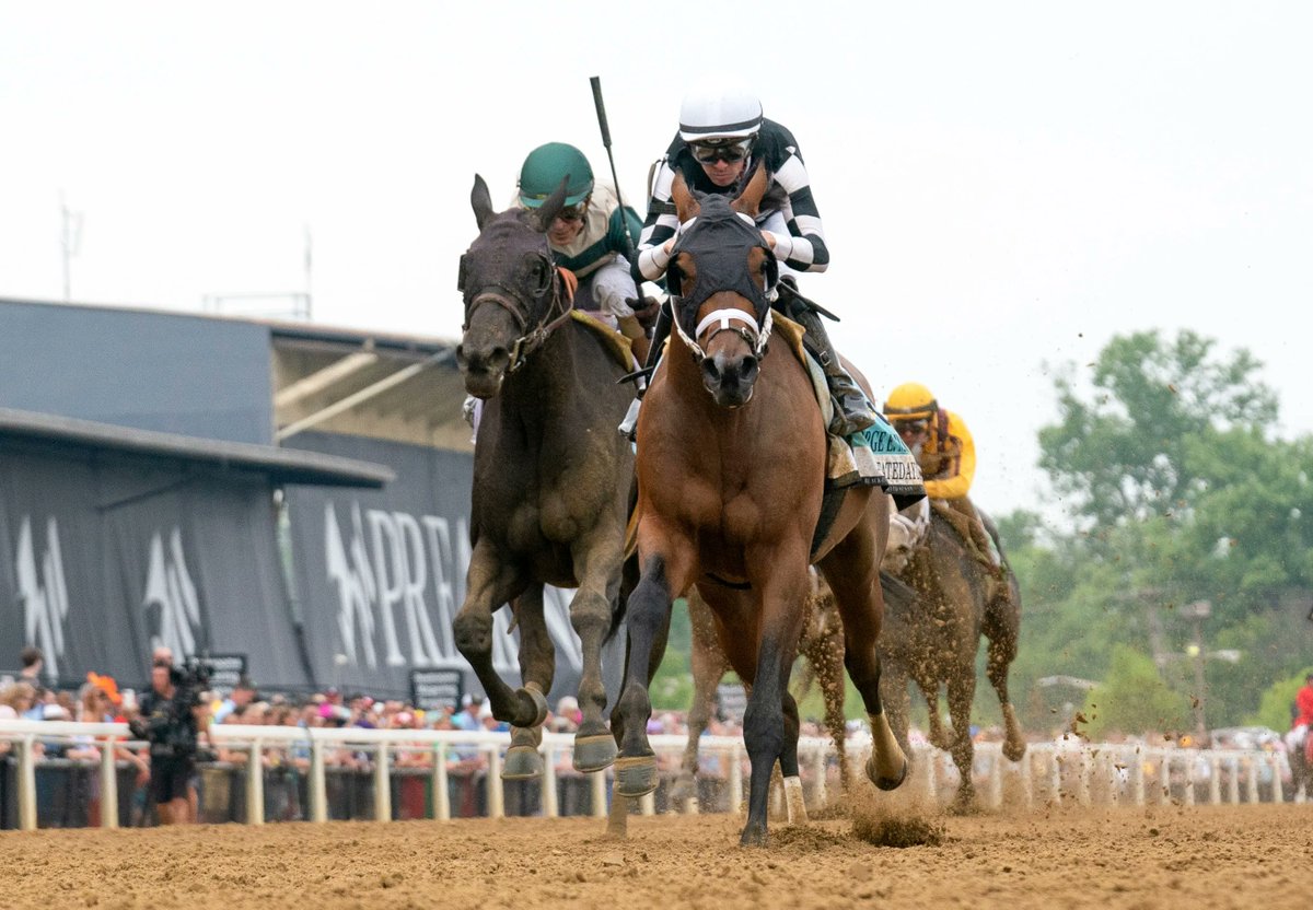 coolmoreamerica's tweet photo. G2 Black-Eyed Susan Winner for Classic Empire.
Interstatedaydream (3f Classic Empire x Babcock, by Uncle Mo) caught the eye at Pimlico on Preakness Stakes weekend... https://t.co/BxbC5qGxdX https://t.co/asn42Heztt