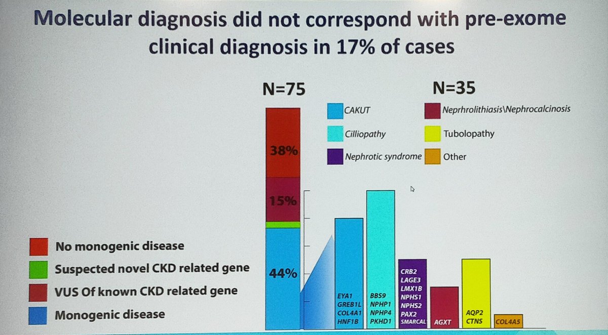 ERAkidney's tweet image. WES had a high diagnostic yield (44%) is this population
🚨 Molecular diagnosis did not correspond with the clinical diagnosis in 20% of cases
#GENera22 #FCera22 #ERA22