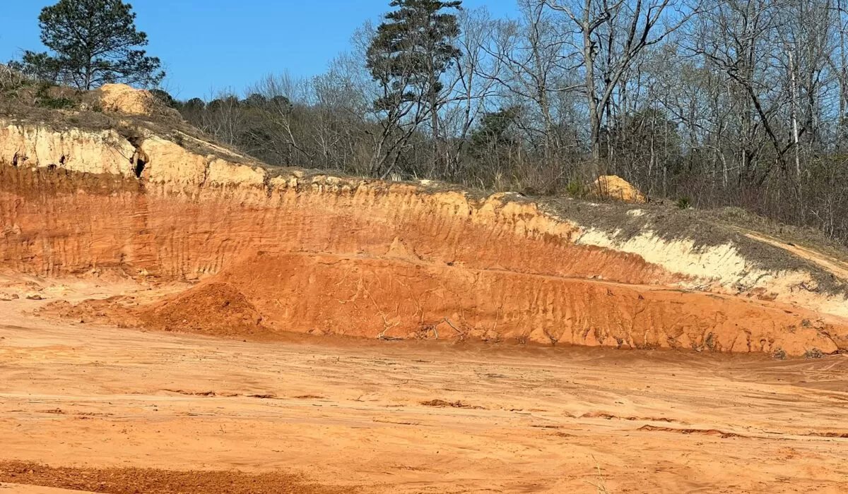 Evan Rosenfeld on Twitter "The most asymmetric real estate investment I've ever seen is a dirt