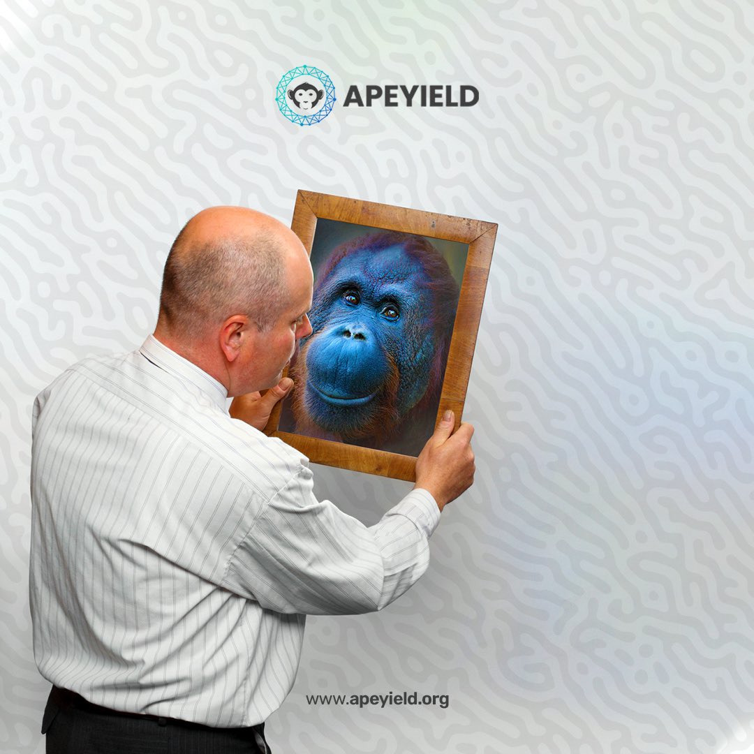 ApeYield tweet media