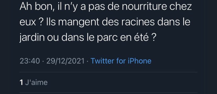 Samizo 🇫🇷 🇺🇦 tweet media