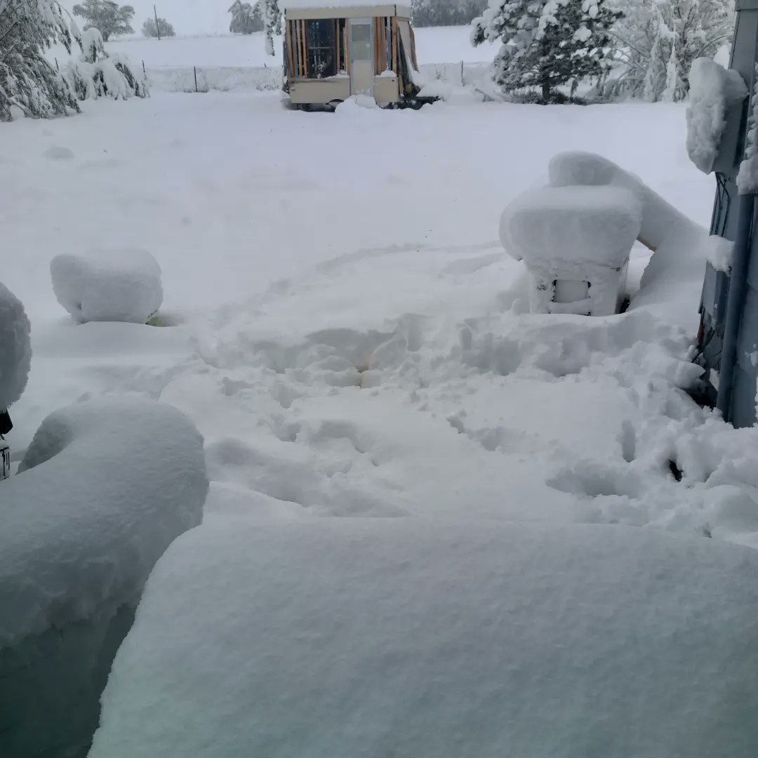 Melanie79089717's tweet photo. Yesterday it was 87degrees......  Effin Colorado #colorado #springblizzard #myflowersaredead #cold https://t.co/HKxsFN4Eq1