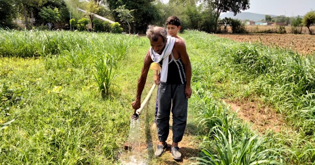 In #India, in the Bundelkhand region, with an initiative funded by <a href="/tatatrusts/">Tata Trusts</a> over 1300 farmers will be able to raise multiple crops in a year thanks to reliable irrigation enabled by 65 solar irrigation pumps powered by Schneider Electric's technology. 
#EnergyforAgriculture