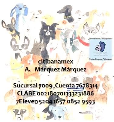 Perrosenlacalle's tweet photo. 30 kilos diarios de alimento consumen en nuestro refugio. Colecta peluda de alimento y artículos para perritos y gatitos rescatados. Domingo 22 y 29 de mayo de 1 a 6 p.m Parque Hundido calle Porfirio Díaz esq Atlanta. Únete a nuestra misión y hagamos su vida mejor. Gracias https://t.co/MNECM4kJWn