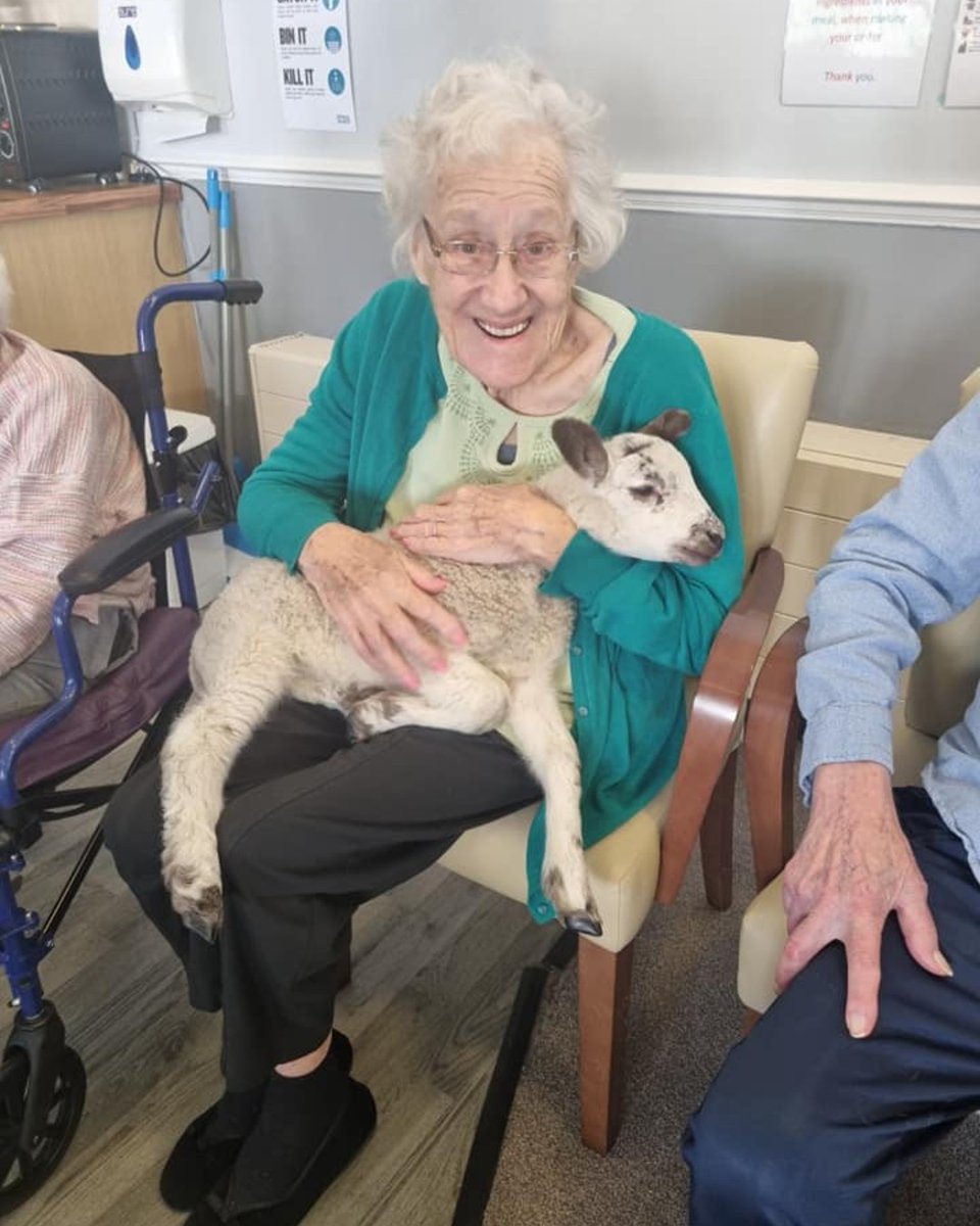 QuantumCareLtd's tweet photo. Lambo the Lamb and her handler Des from Performing Pets have been on tour from Watford to Biggleswade and the residents from Courtland Lodge and Mantles Court are very grateful as they loved giving her cuddles! 🐑 💙
#QuantumCare #PerformingPets #LamboTheLamb https://t.co/JULdHYzbNQ