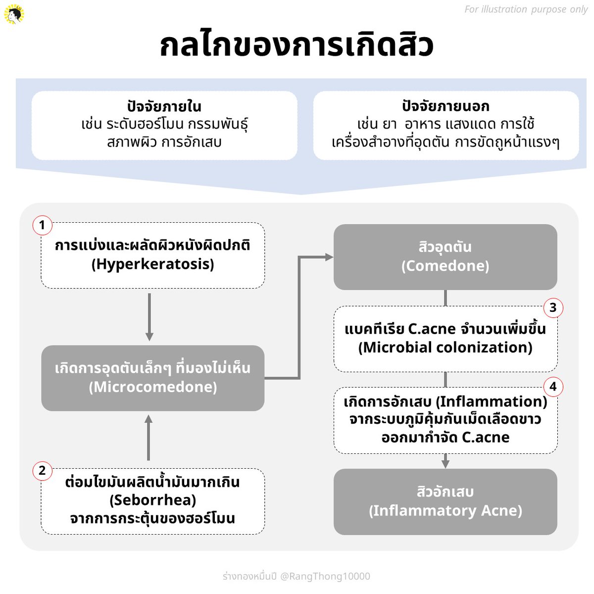 เปา ร่างทองหมื่นปี 👑 สอนใช้สกินแคร์ tweet media