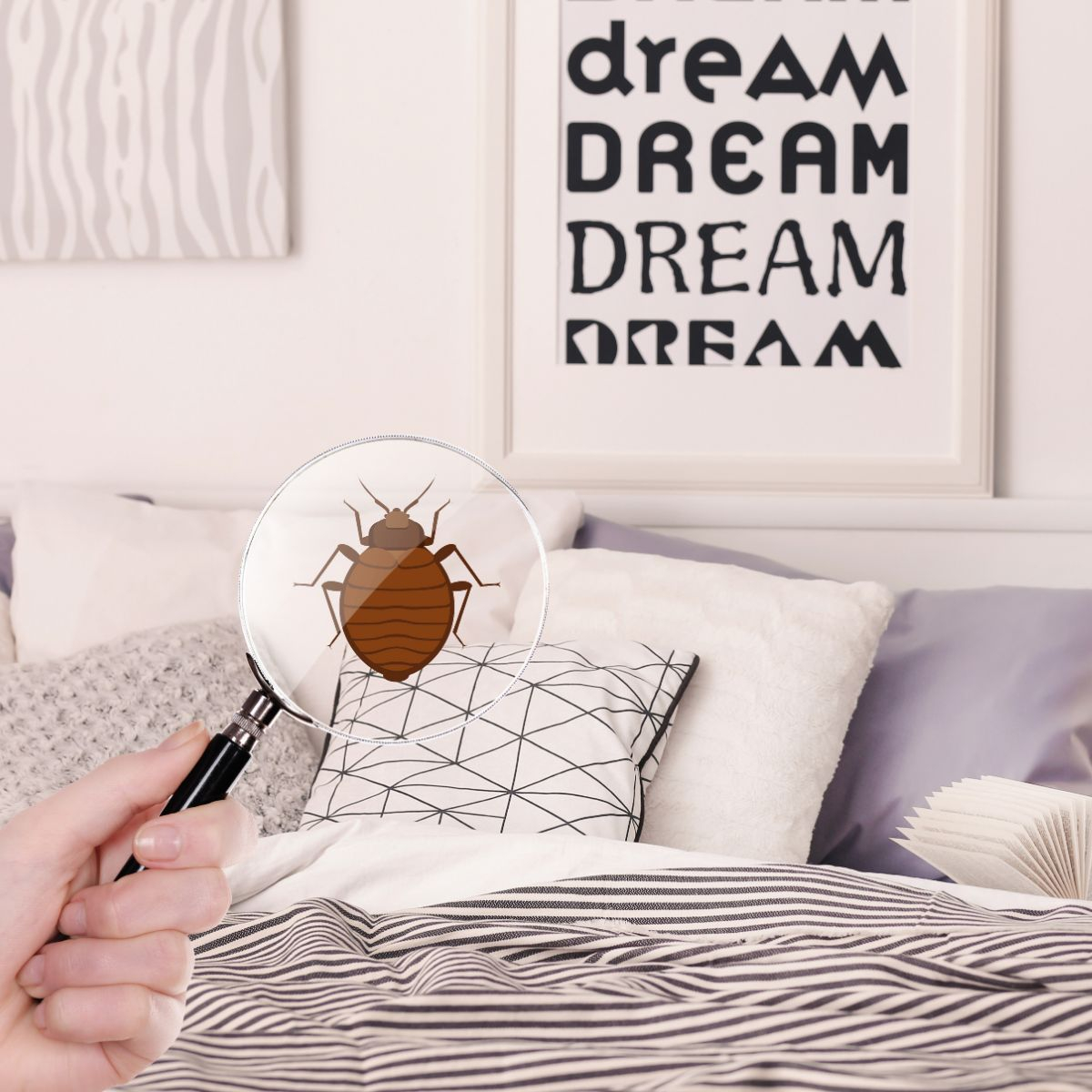 bedbugbbq's tweet image. Dream, dream, dream...but don&apos;t go through the nightmare of a bed bug infestation alone! Call Bed Bug Barbeque today at 216-910-5142 for help.

#bedbugs #dream #bedbuginfestation #bedbughelp #bedbug #pests #pestcontrol #cleveland #ohio #ohiobedbugs #infestation #infested #heat