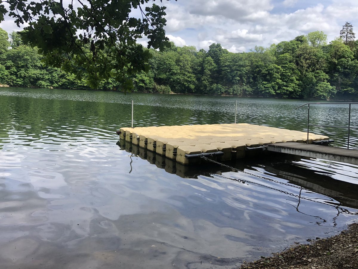 Caturday vibes 🍃☀️