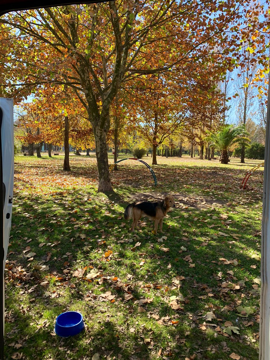 gui10road's tweet photo. Berdier 🇦🇷 si te defino te limito 🤣
No me alcanzó con visitarlo el verano pasado y llamarlo "paraíso color verde". Tuve que volver a recorrerlo. Estuve jueves y viernes, pleno otoño. Sale pequeño hilo de este mágico lugar 🤙🏽 https://t.co/u03MtjSkAY