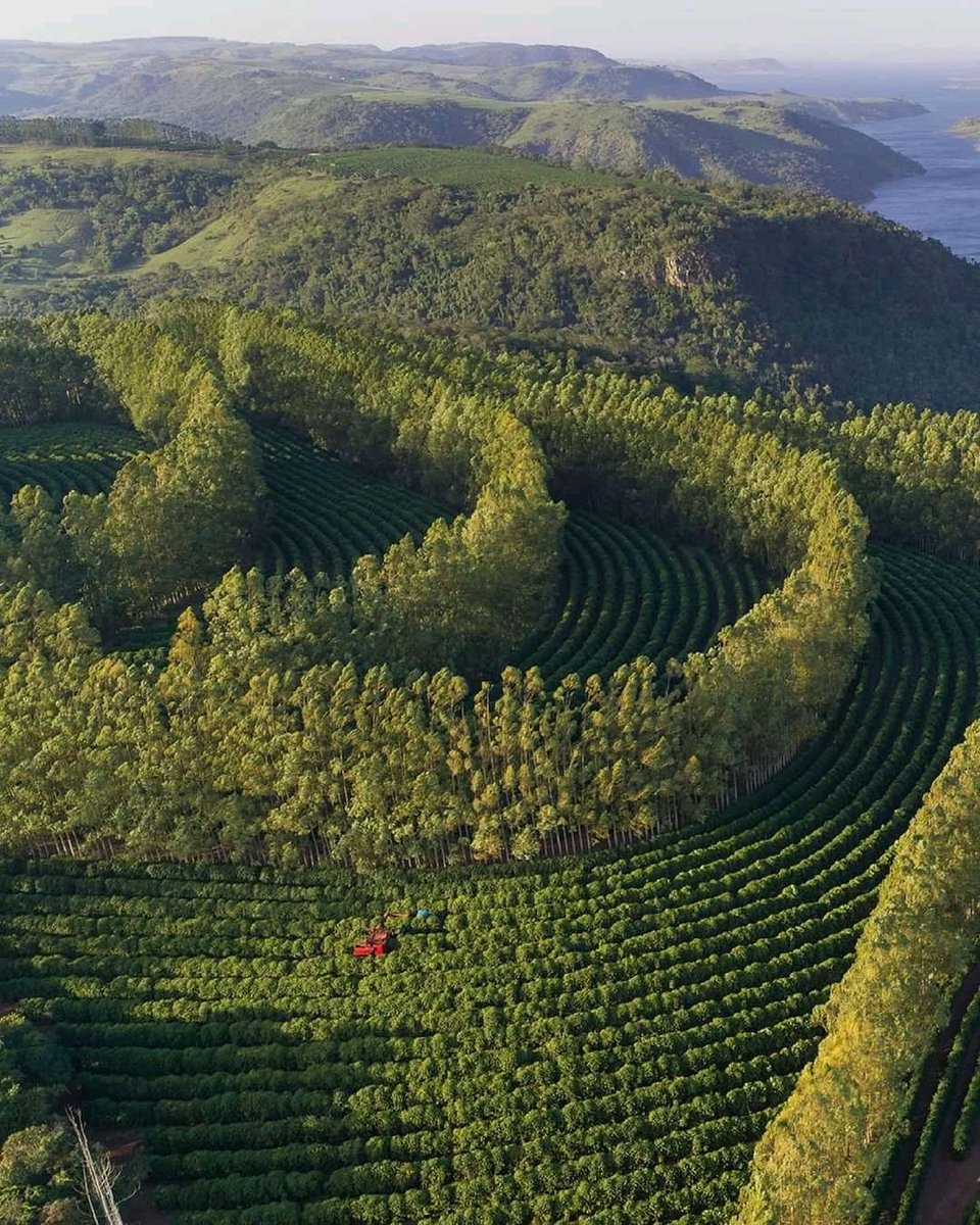 منظر جميل طبيعة خلابة 🌲بجبال الأطلس المتوسط