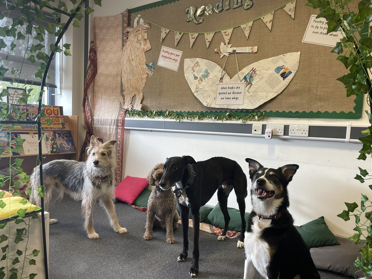 karenohara76's tweet photo. School dogs @MostonFieldsPS can only stay clever if they do their reading at weekends too! (Buddies optional!) #lifeofmurphy #readingrocks https://t.co/6qDxhuS3Gc