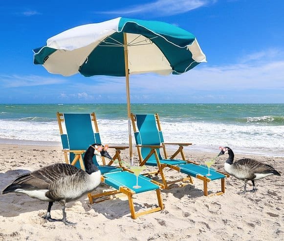 We’re on Island Time.