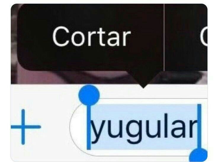 kart_exe's tweet photo. @auronplay Coño de la madre me asustaste varón https://t.co/KPBQOTadUg