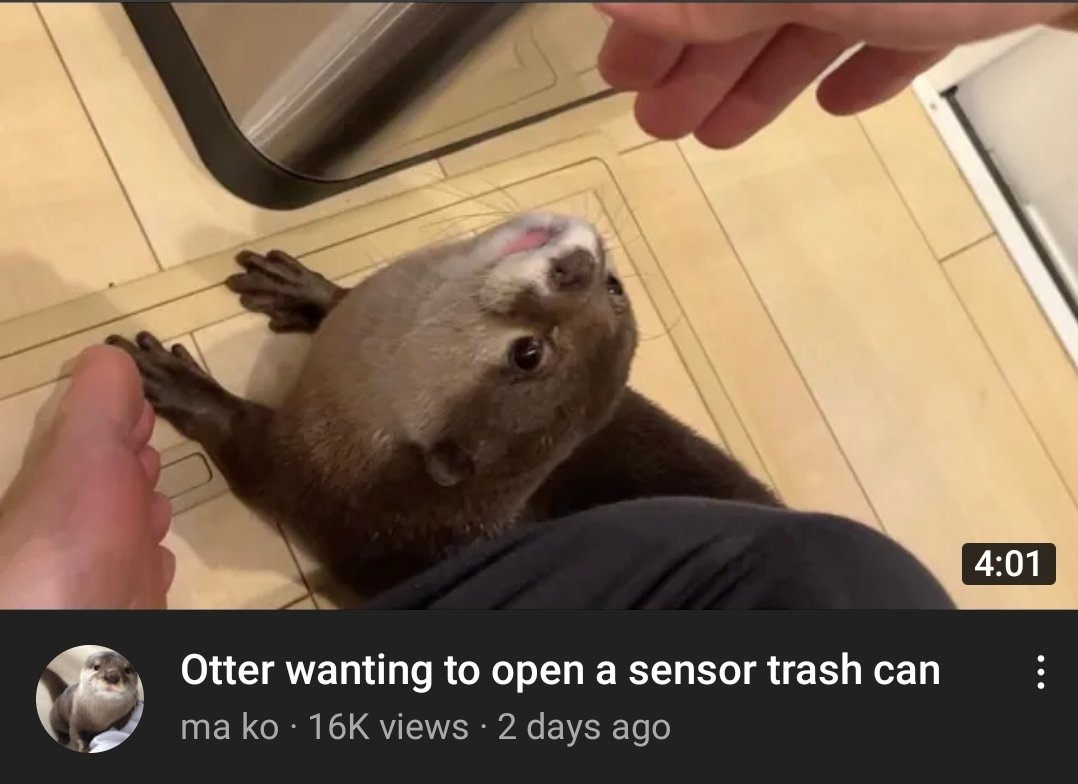 Sakura, you have small arms and legs