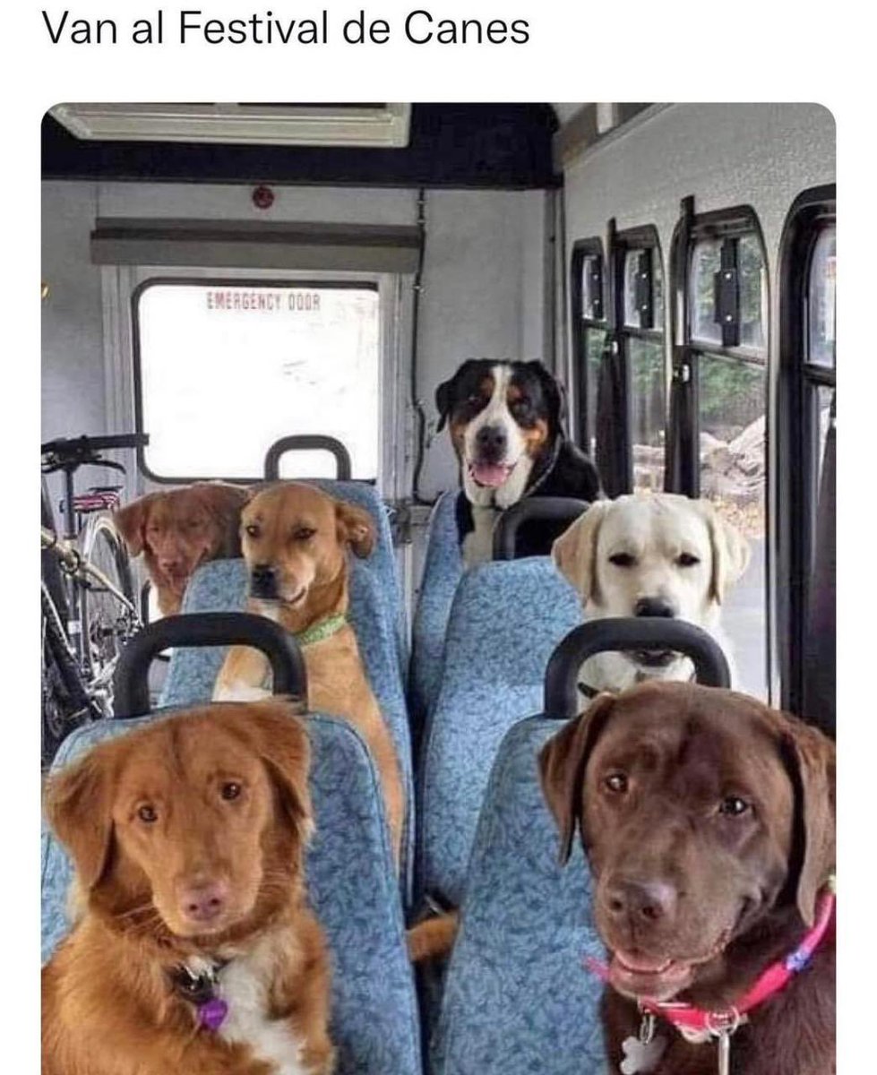 ¿Habrán comprado su boleto a tiempo? <a href="/TransporTEC_CCM/">Transportec</a>