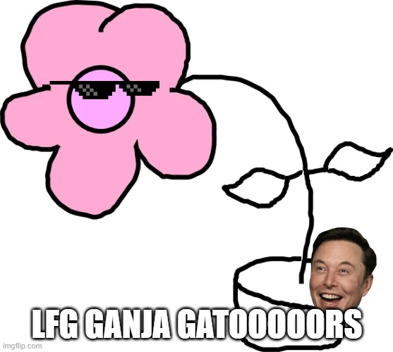 jojooocrypto's tweet photo. @GanjaGatorsNFT #GanjaGator #Shitart #gibWL https://t.co/JXYTmegIUT