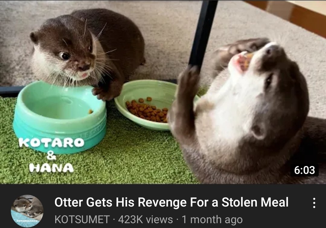 Kotaro and Hana fight to the death