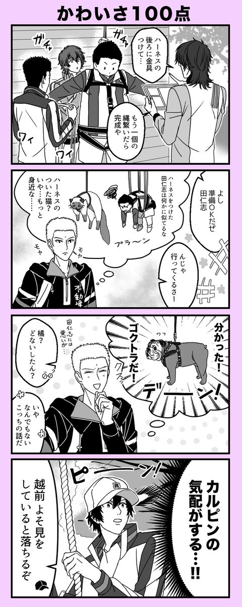 何かに似てる(テニラビネタの橘さんと田仁志とリョーマ) 