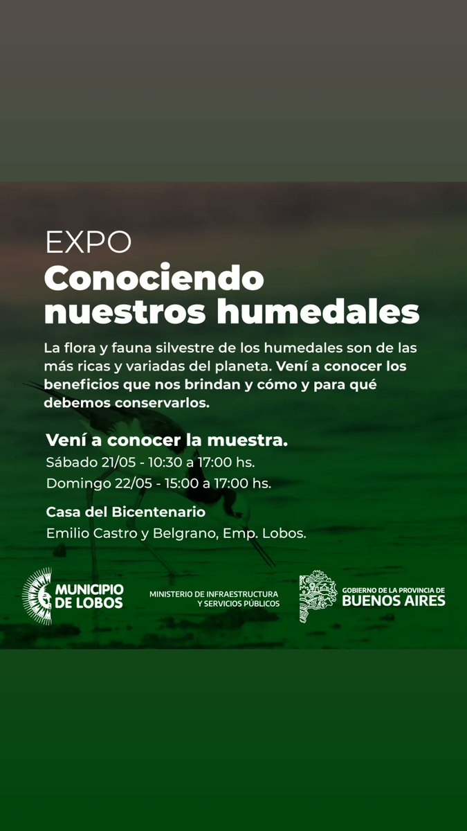 Turismo Lobos tweet media