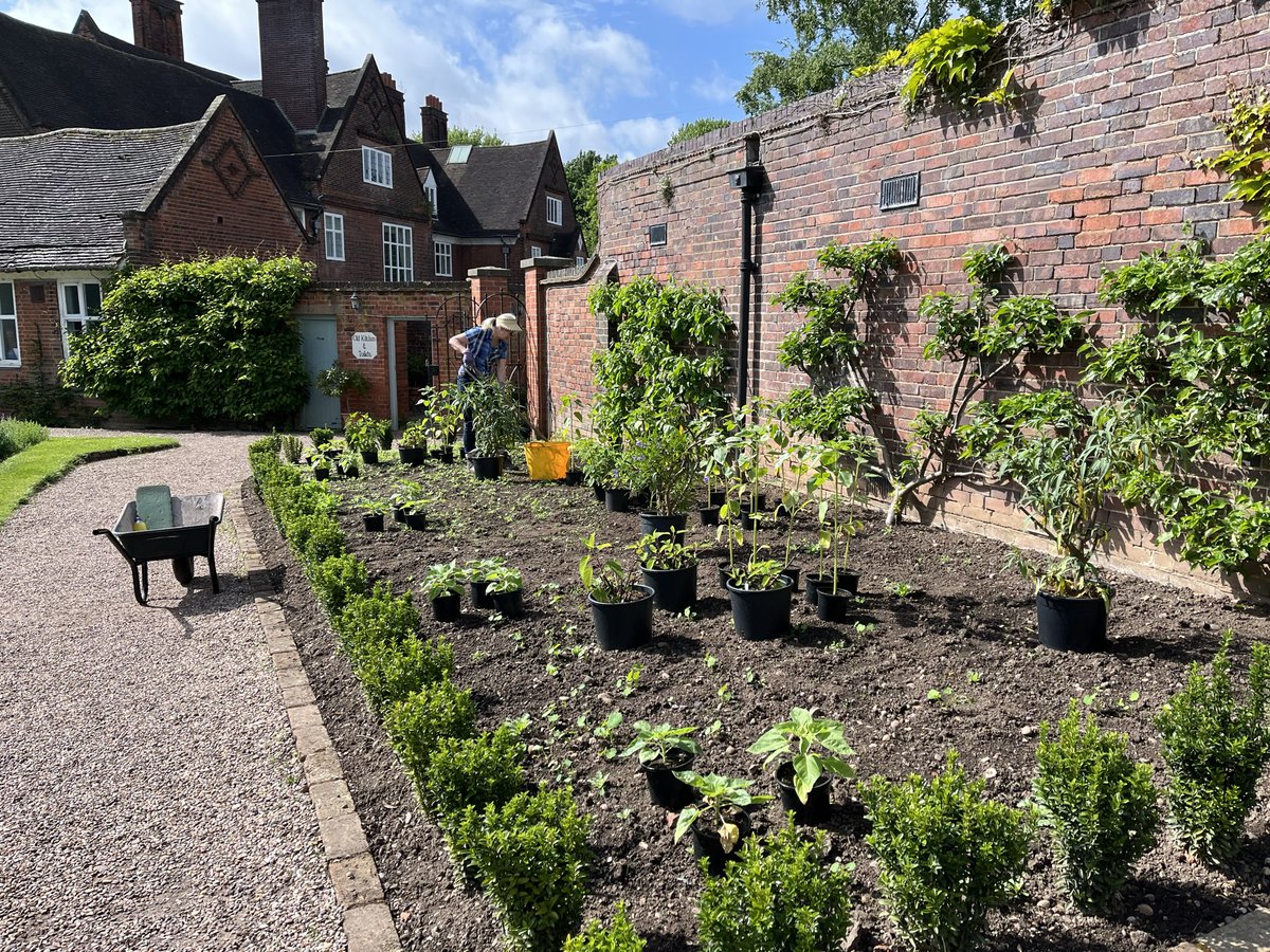 winterbournehg's tweet photo. The Garden Team have been busy beavering away in the garden this week. Ann has been planting in the old strawberry beds, Will has been keeping the plants well watered in the glasshouses and Fumiko has been planting gladioli in the Walled Garden! https://t.co/0O2ybdAtJp