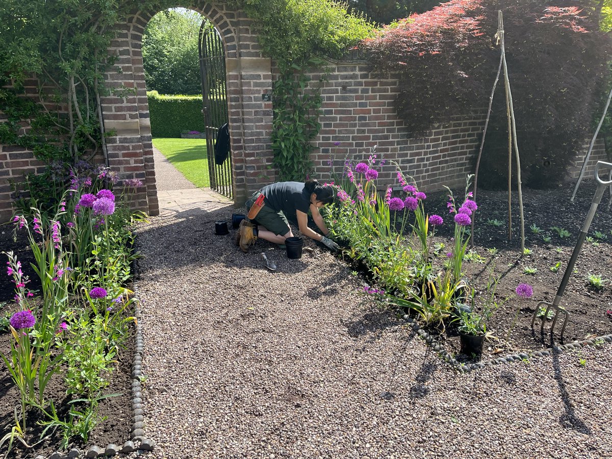 winterbournehg's tweet photo. The Garden Team have been busy beavering away in the garden this week. Ann has been planting in the old strawberry beds, Will has been keeping the plants well watered in the glasshouses and Fumiko has been planting gladioli in the Walled Garden! https://t.co/0O2ybdAtJp