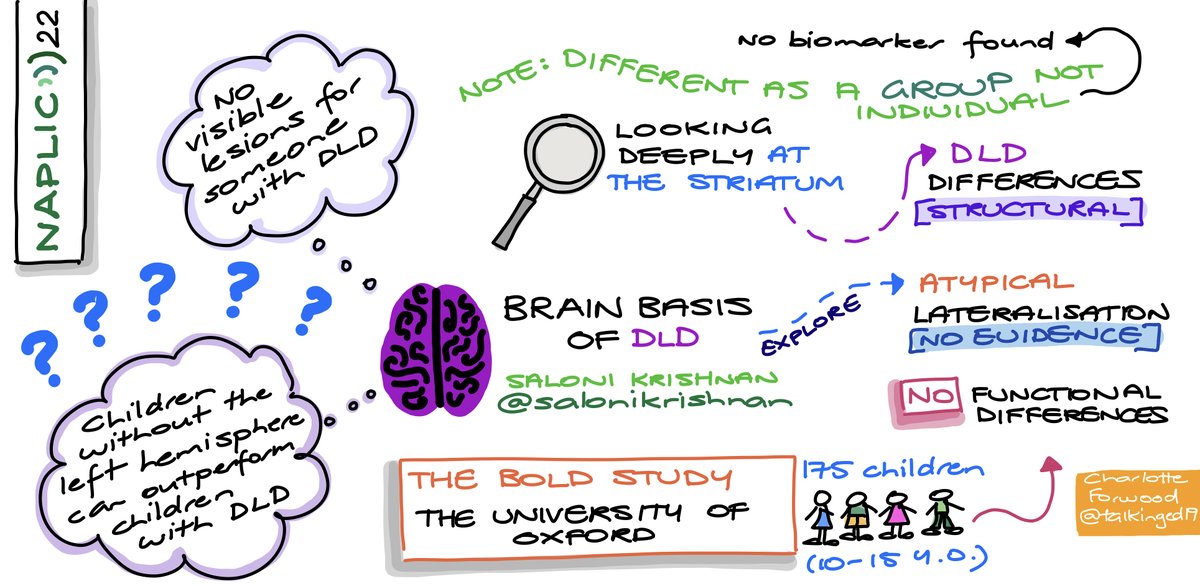 talkinged19's tweet photo. A deep dive into the brain with an exploration of brain structure and function of children with #DevLangDis @salonikrishnan taking us on a fascinating journey through the human brain and findings from the BOLD study #NAPLIC22 https://t.co/GAMpT4ogSC