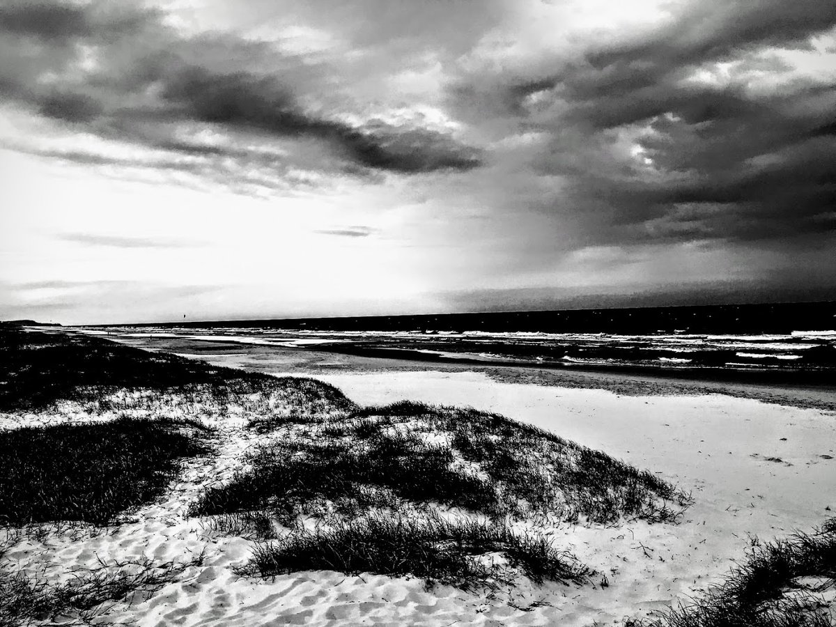 oceanairnft's tweet photo. When I hit 5000 followers I'll be auctioning 5 pieces with ALL proceeds going to charity #NFTcollection #NFTCommunity #NFTCommunities #NFTArtist #Cryptoartist #DigitalArtist #NFTDrop #NFTDrop https://t.co/lmCTtnzvfR https://t.co/E7d9sdGIVh