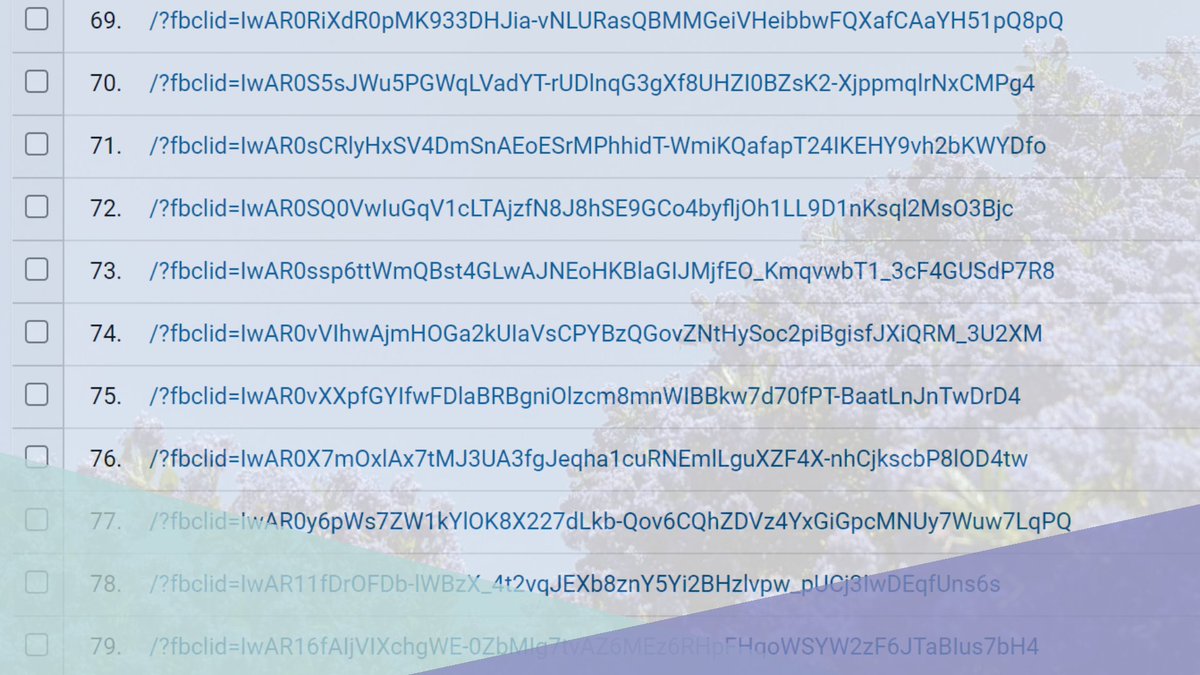 James Hume tweet media