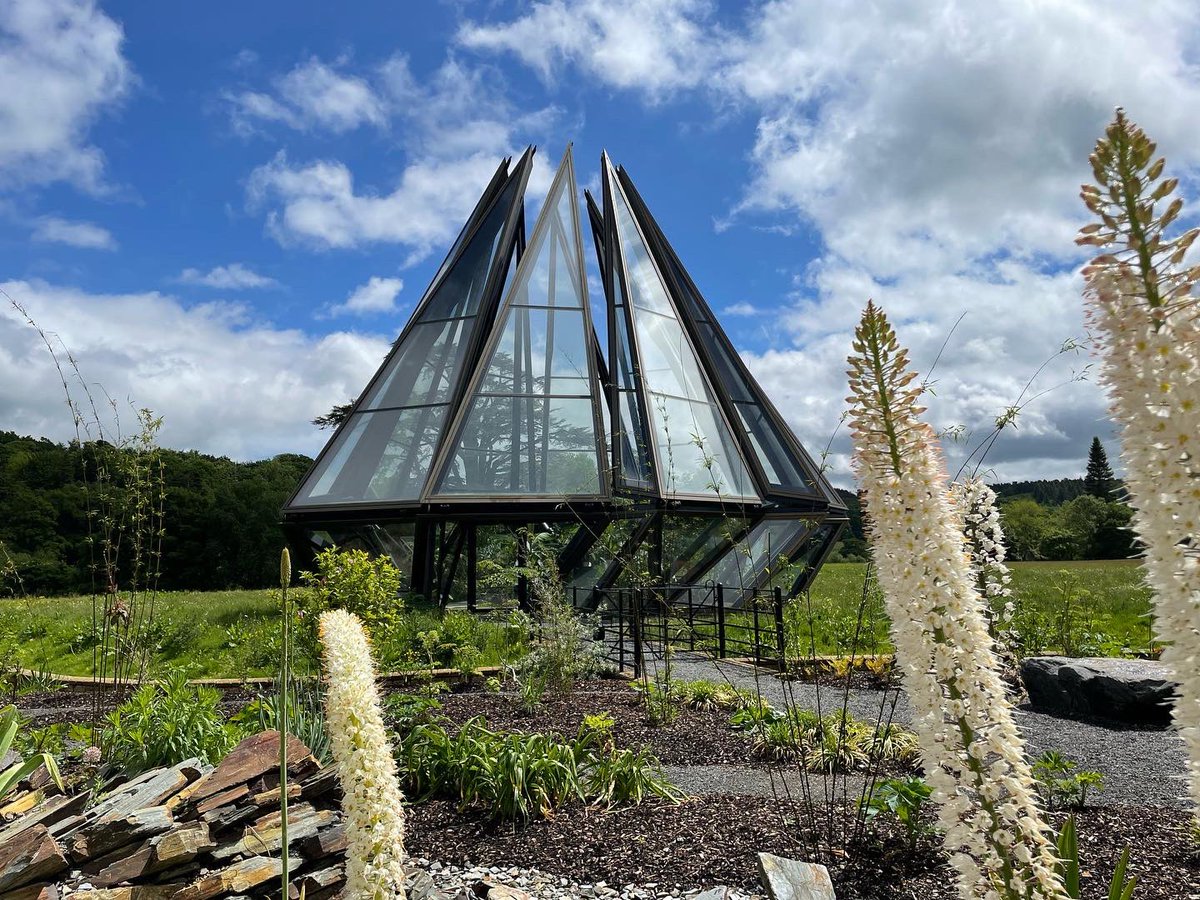 Sarah Levine tweet media