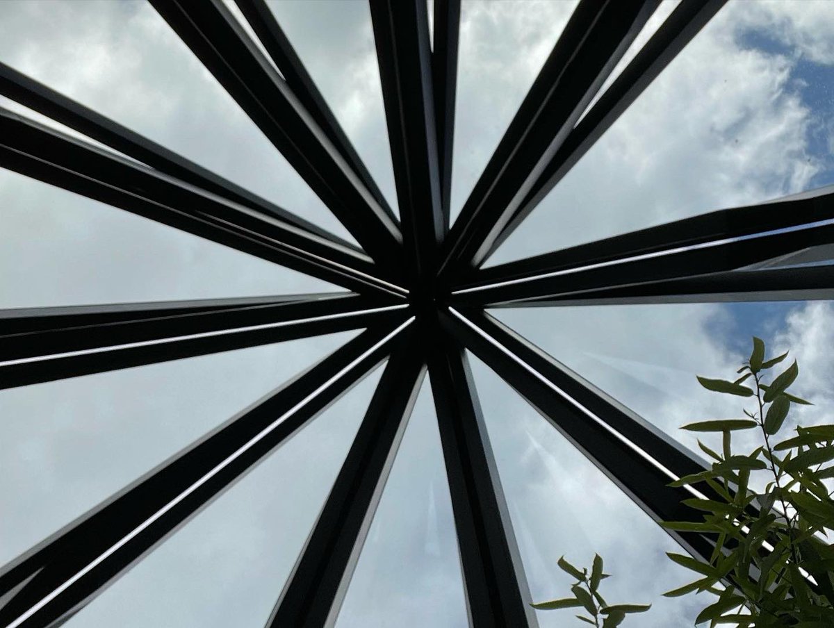 Sarah Levine tweet media