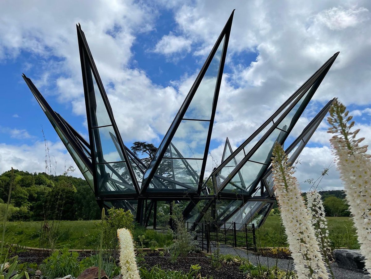 Sarah Levine tweet media