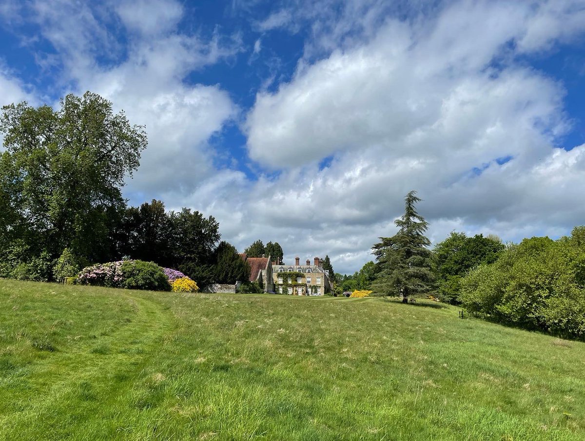 Sarah Levine tweet media