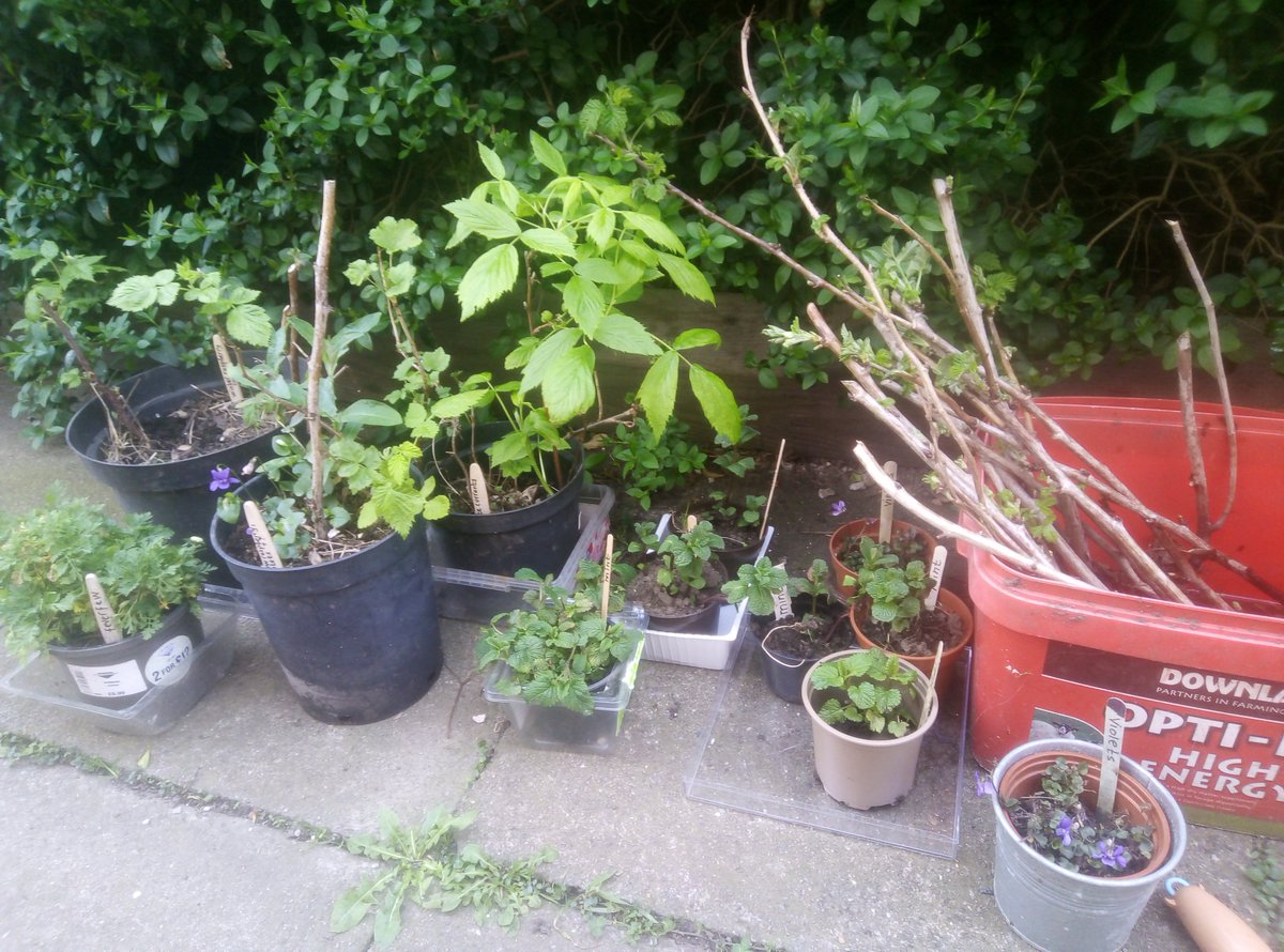 JACKIE1PLANET's tweet photo. ♻️😍♻️😍♻️😍♻️😍♻️😍♻️😍♻️😍♻️
Keep The Date - Sat June 18th 11-3pm
#IncredibleEdibleeWrecsam #GiveAndTake #FreeStall at HeartRock, Eagle's Meadow, Wrecsam.
Take what you'd like, give or donate if you want (but not necc). Help promote #sharingeconomy #gifteconomy &amp; reduce waste. https://t.co/jNPNsksO3n