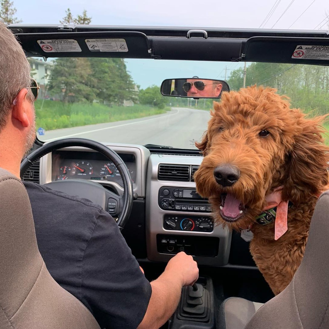 JeepCanada's tweet photo. Sun's out.. tops off. Happy #ToplessDay, Jeep fans!
📸 : @rodger_the_dood, @graceannelebel, @katindahat1, @23danelle https://t.co/HothKkFqWj