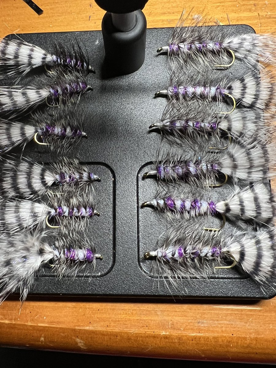 Shouldbgolfng's tweet photo. Streamers ready for shipping #flytying #flyfishing #flyfishingaddict #streamer #trout #troutfly #wildtrout #fish #fishing #fishinglife #fishingaddict #woolybugger #coloradofishing #coloradoangler #catchandrelease https://t.co/GJDoXHXjNT