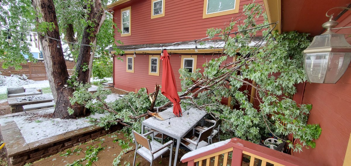 SpongeBobVT's tweet image. Good morning!