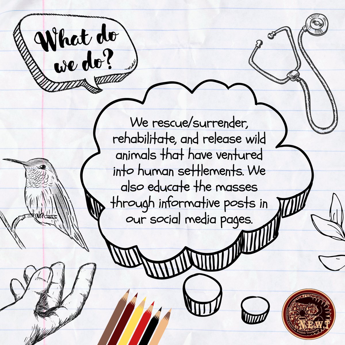 newtneb's tweet photo. Getting to Know NEWT-NEB!

Here are 5 frequently asked questions on who we are, what we do, and more!

Come and set forth the significance of wildlife species, environmental protection, and giving a voice to those who cannot speak for themselves. 

1/3 https://t.co/Jgyp9zxse9