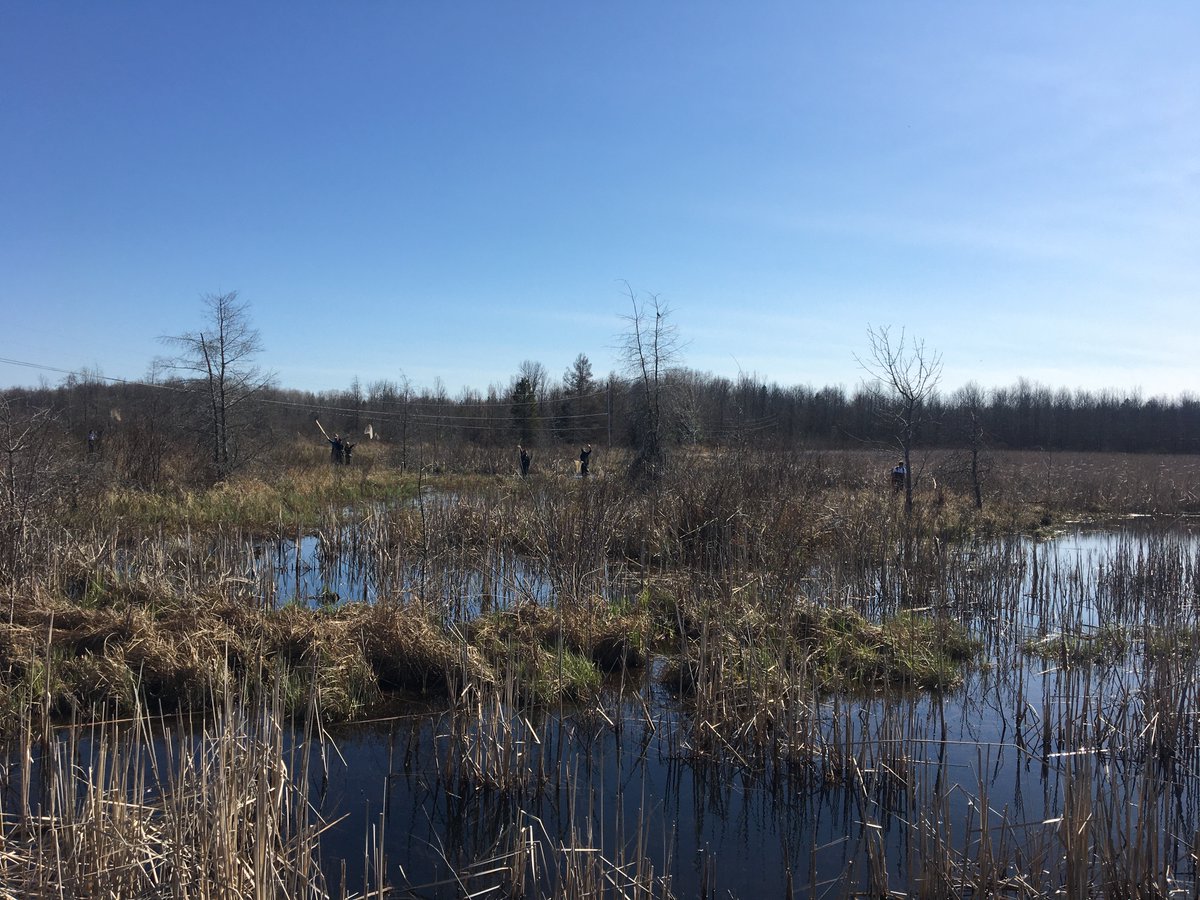 dawnbazely's tweet photo. @manitoulinbrew @man_expositor @IslandStreams @AM_ONDP @YorkUScience @ShelleyArnott @MINICanada Final tweet about one of the 1st 15 in-person #OUPFB field courses since 2019, celebrates Mnidoo Mnis.
My 1st ever week-long #FieldCourse (@UofT Geog) was on #ManitoulinIsland in 1979 🥰

All IRL field courses were cancelled Feb 2020.
Half are back: https://t.co/rpeiCkwkZE
#ONpse https://t.co/BCfAzNWMsF