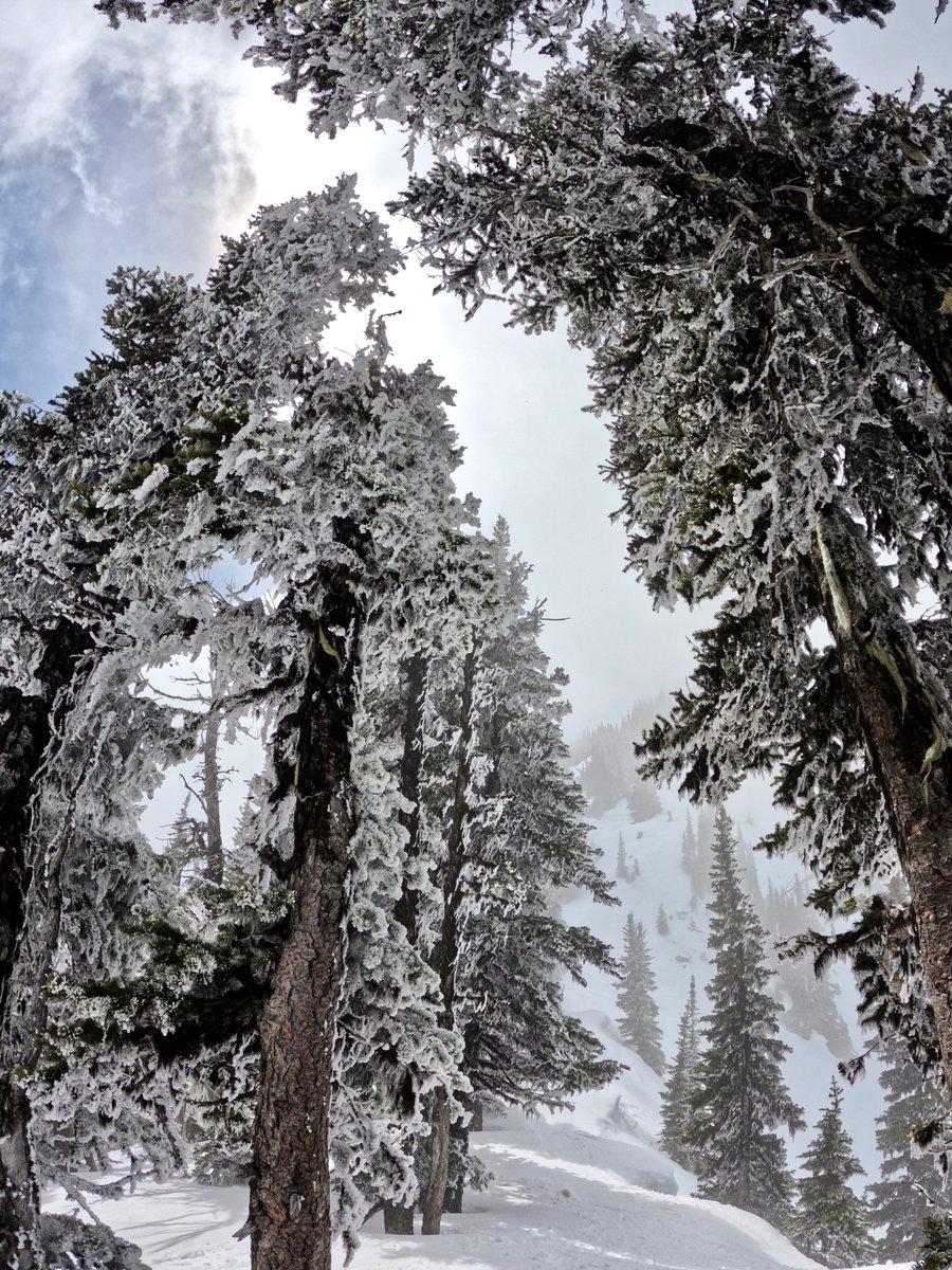 CrystalMt's tweet photo. So this is what May looks like. 
📸 Shot yesterday in Green Valley on @GoPro https://t.co/xeGUs3vt6u