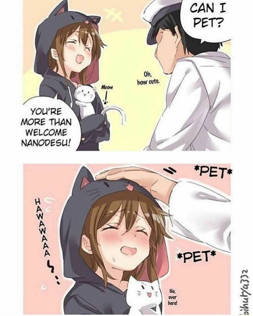 More CatGirl Memes!! 