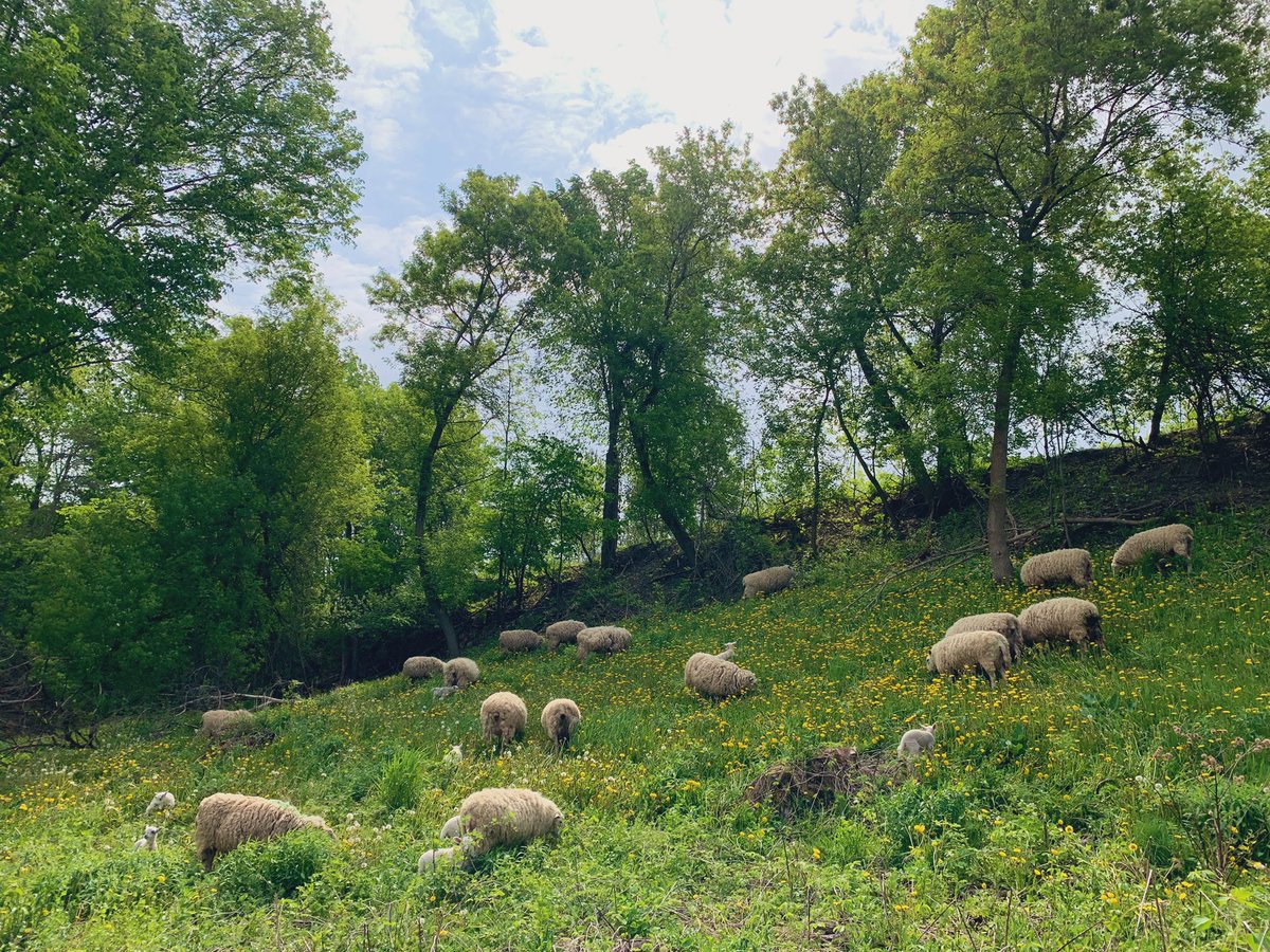 Carrie Woolley (@carriewoolley1) on Twitter photo 