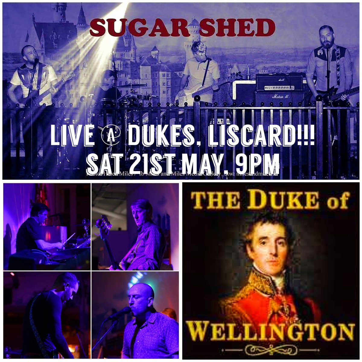 Sugar Shed tweet media
