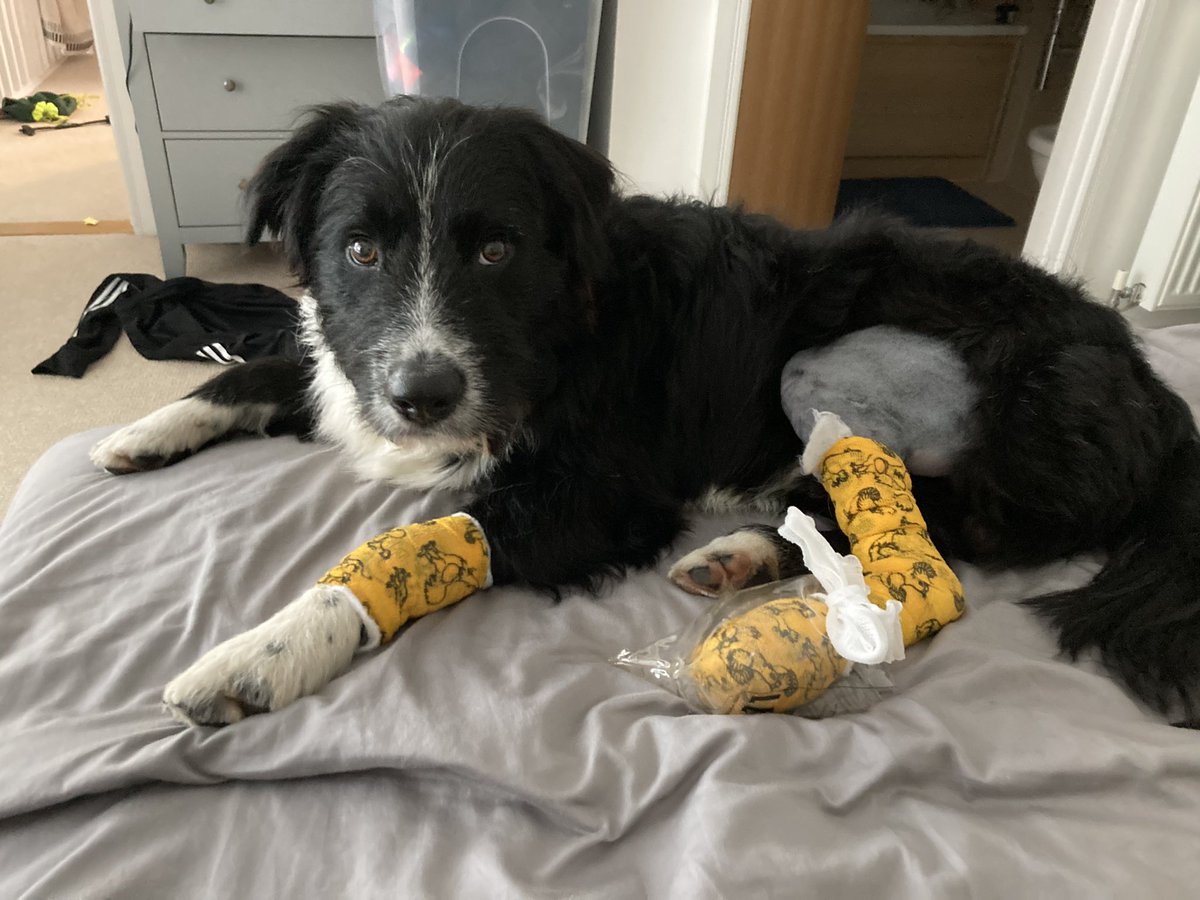 John Buckels tweet media