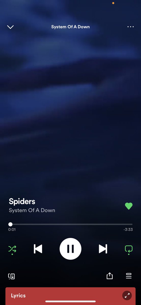 emmedeloach1's tweet photo. Spiders🕷                   Spider🕷 https://t.co/e84aTGphEP