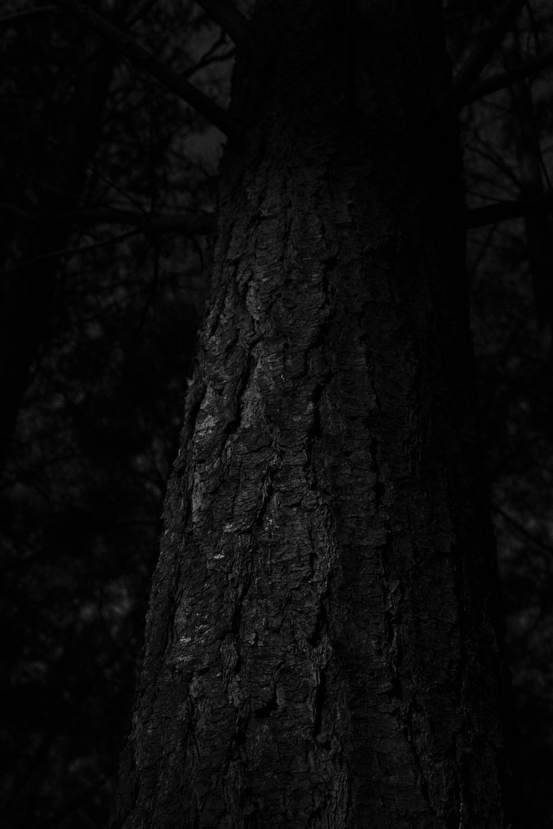 Ian Skene tweet media