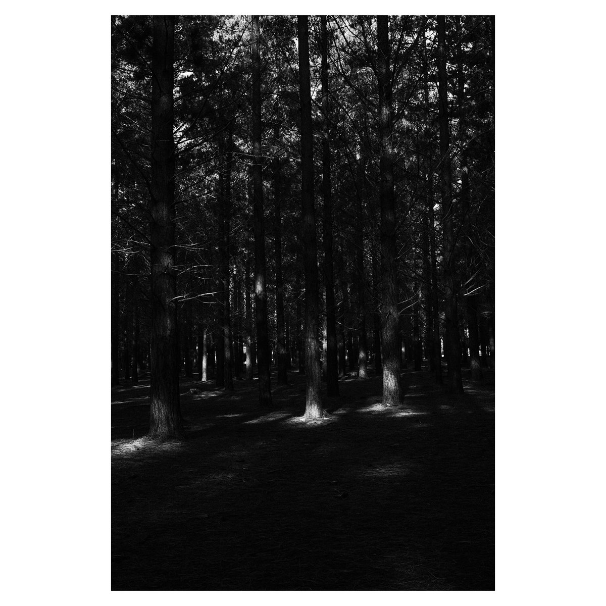 Ian Skene tweet media