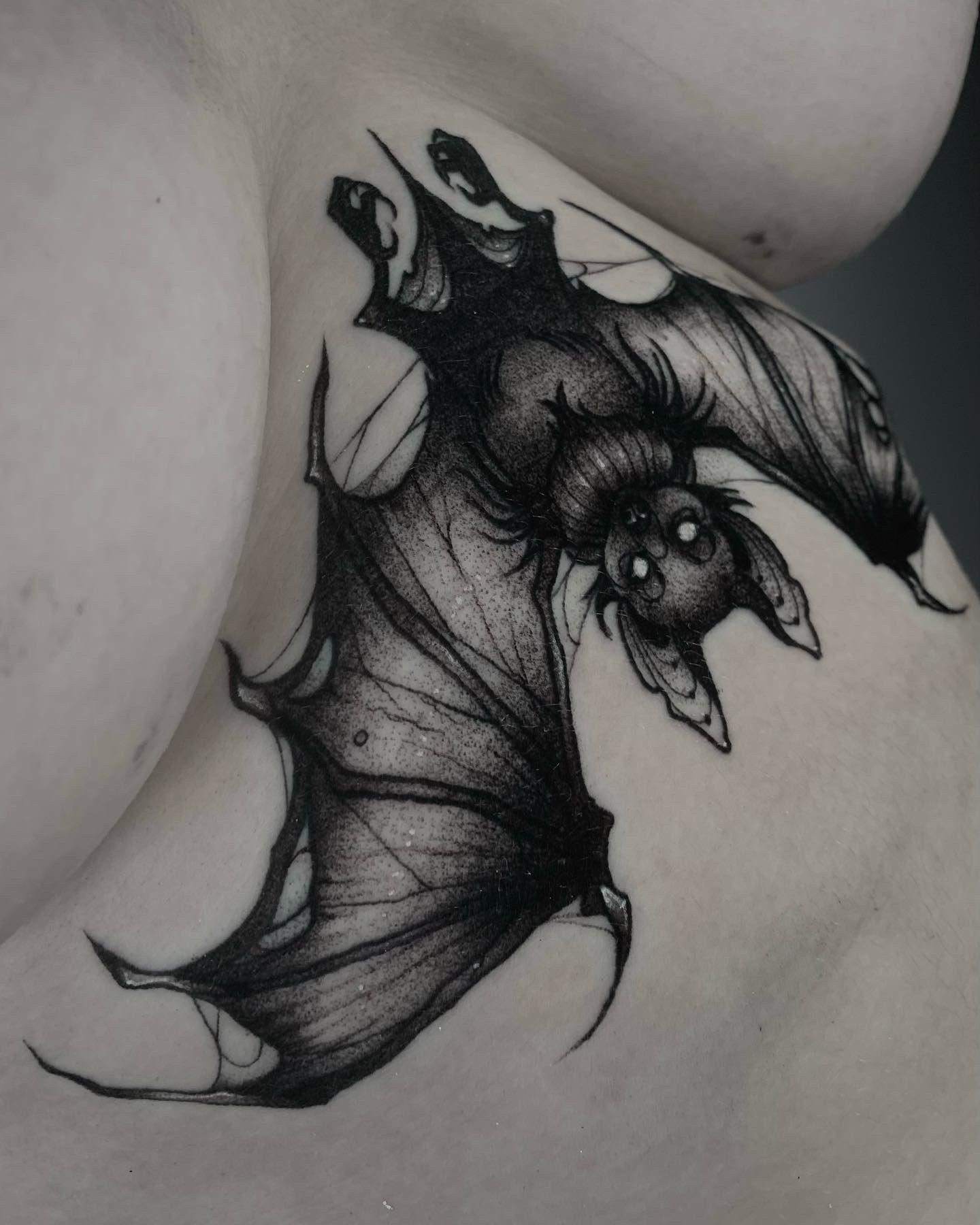 AAA Tattoo  Piercing  Bats knees face backwards and when they relax  their bodies  special tendons behind their legs lock into place  allowing  them to hang freely and exert
