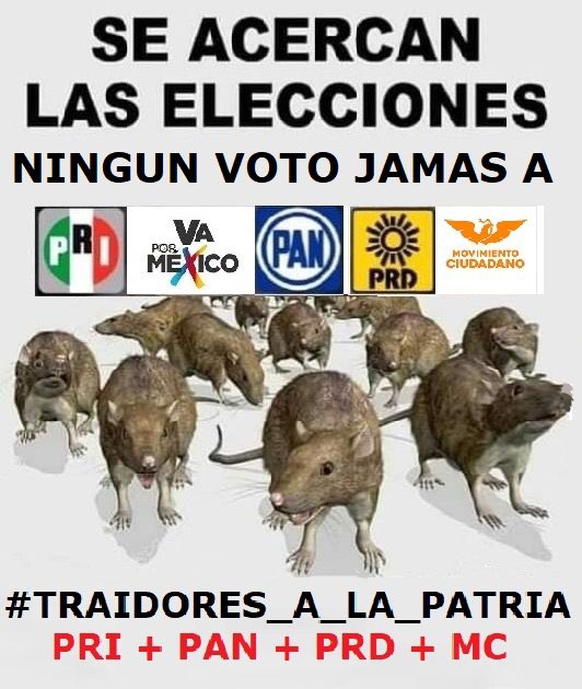 Pedro Castellanos tweet media