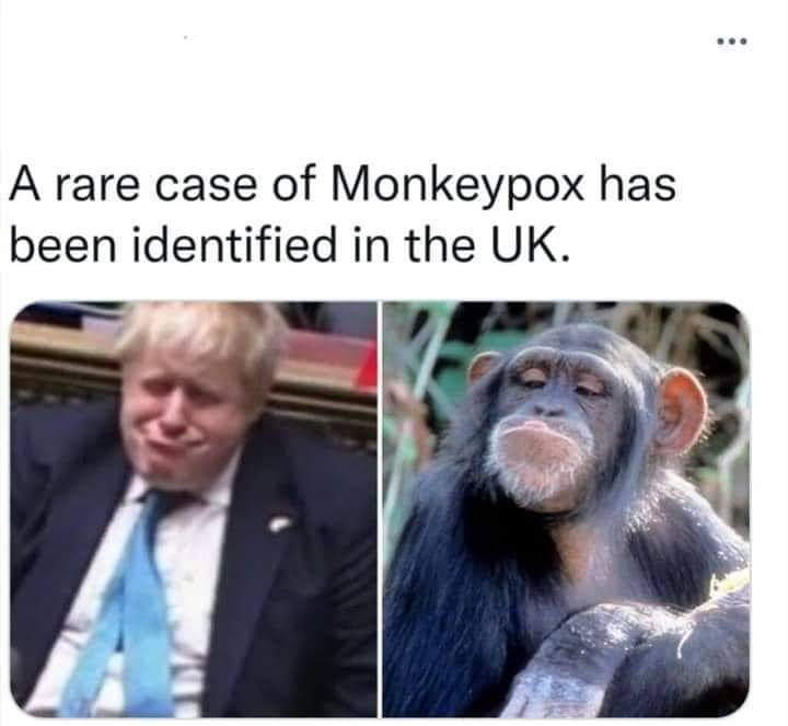 #Monkeypox2022 🐒🐒🐒🐵🐵🐵